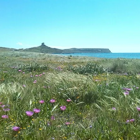 Сasa de vacaciones Casa Dancardi *